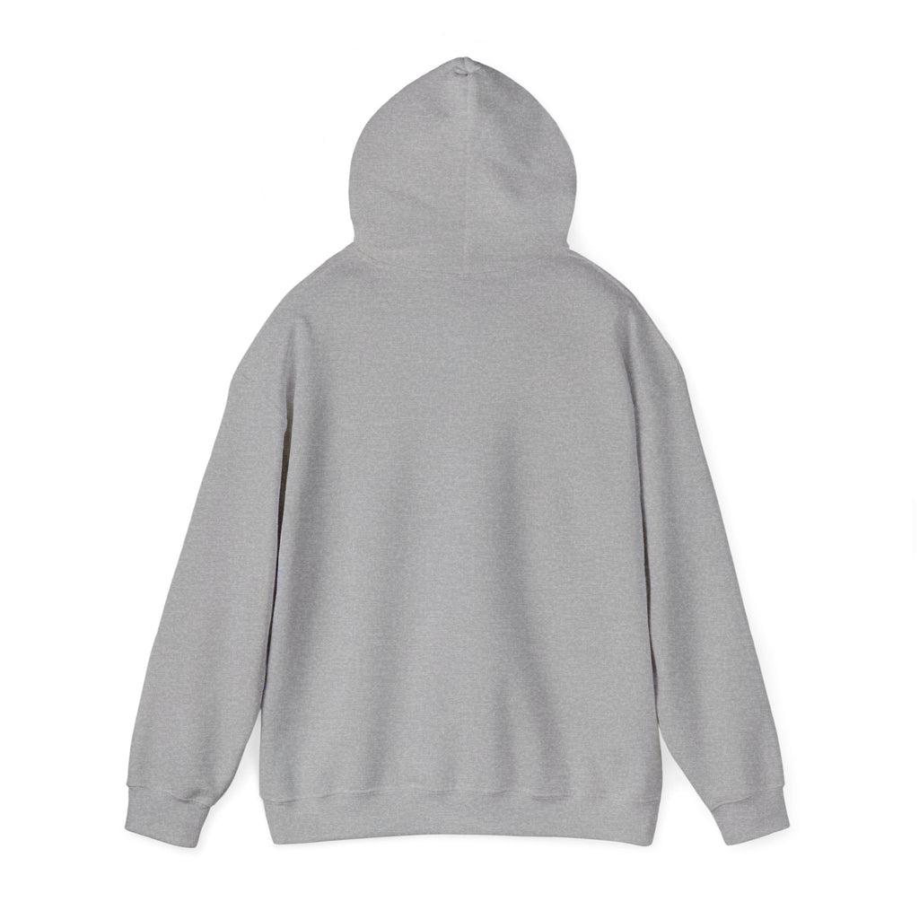 Hoodie — "I Need Nookie and a Nap" Cute Retro Cat Graphic Hoodie