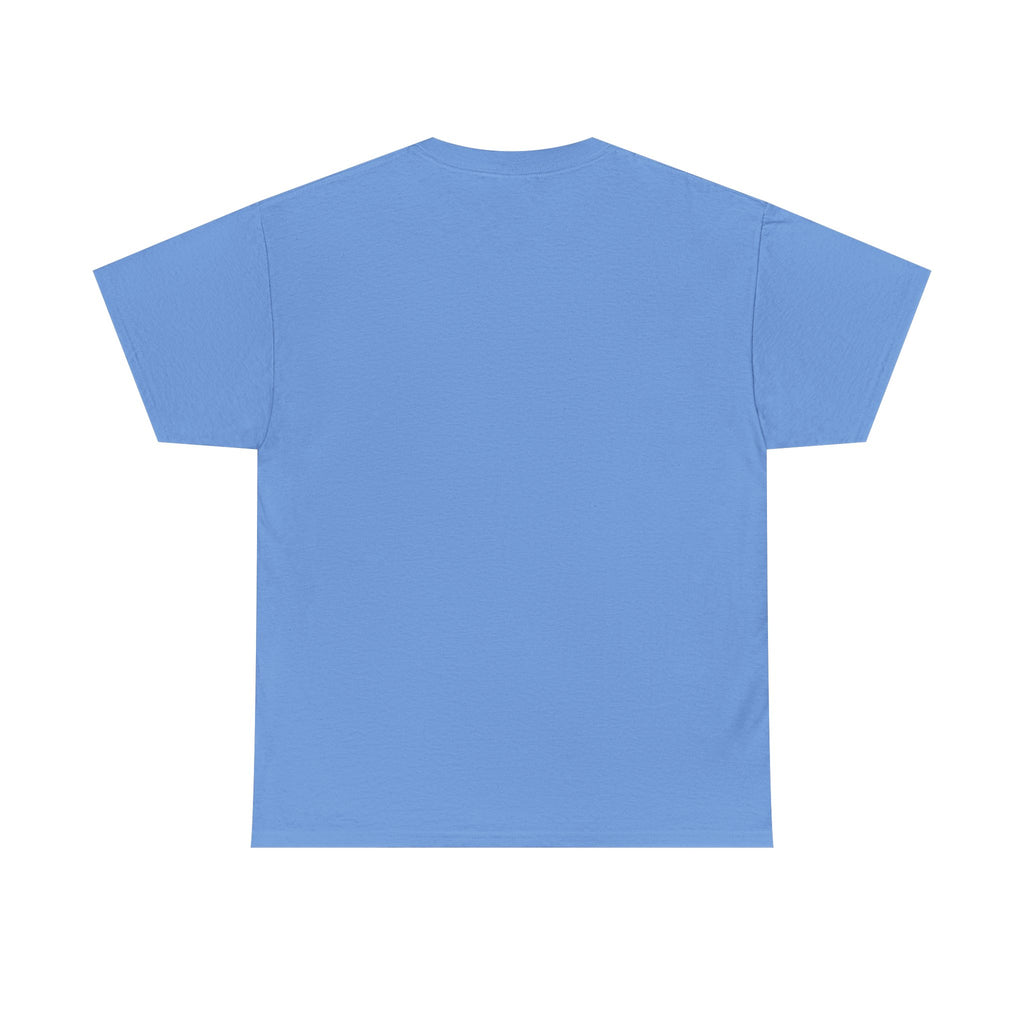 Classy Sassy Truck Driver T-Shirt — Feminine Trucker Tee