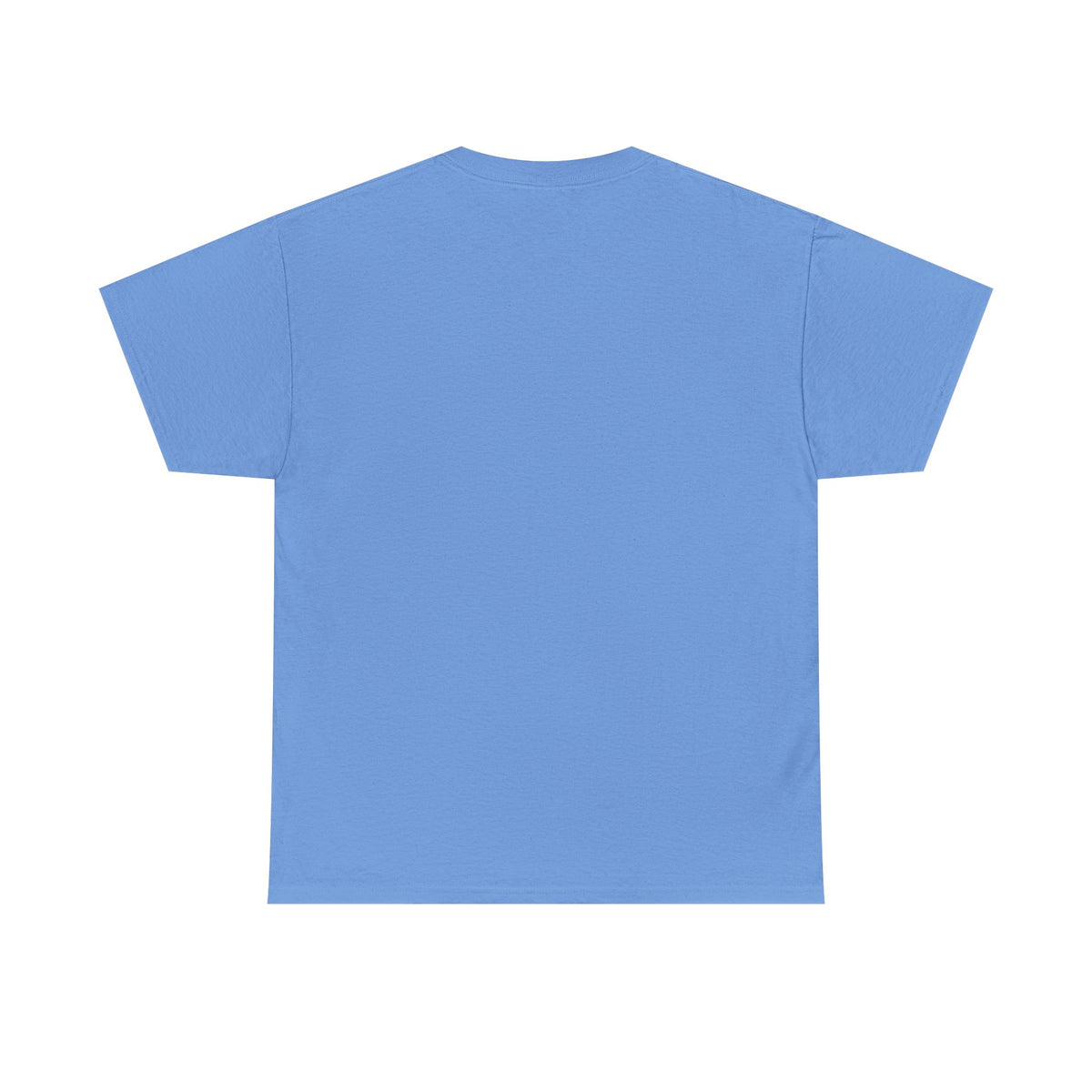 Classy Sassy Truck Driver T-Shirt — Feminine Trucker Tee