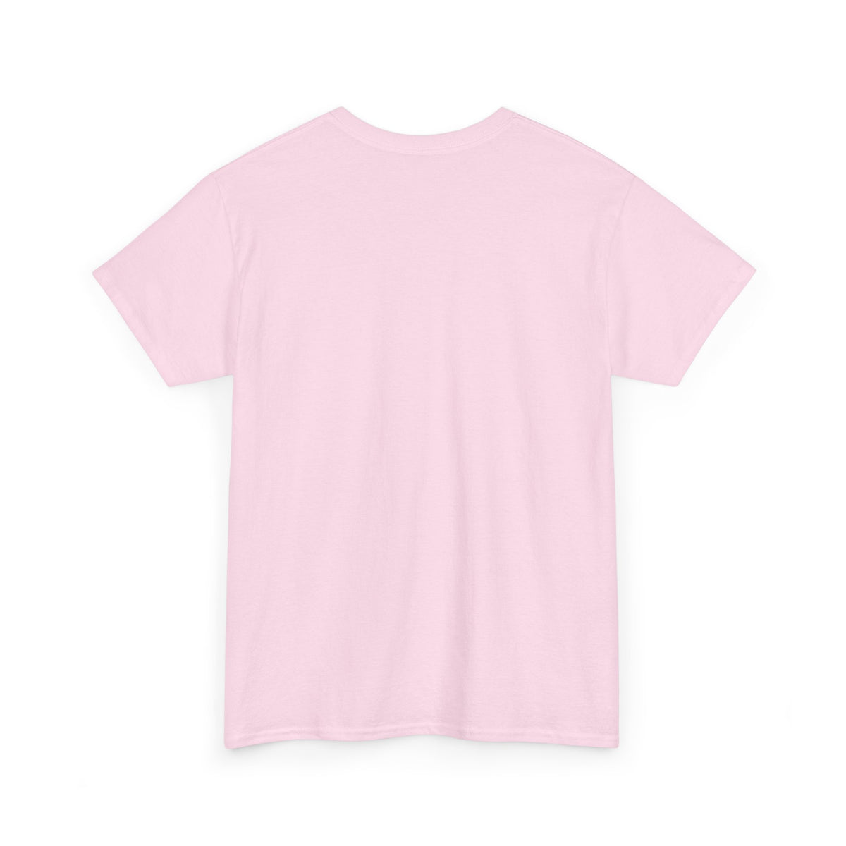 Classy Sassy Truck Driver T-Shirt — Feminine Trucker Tee