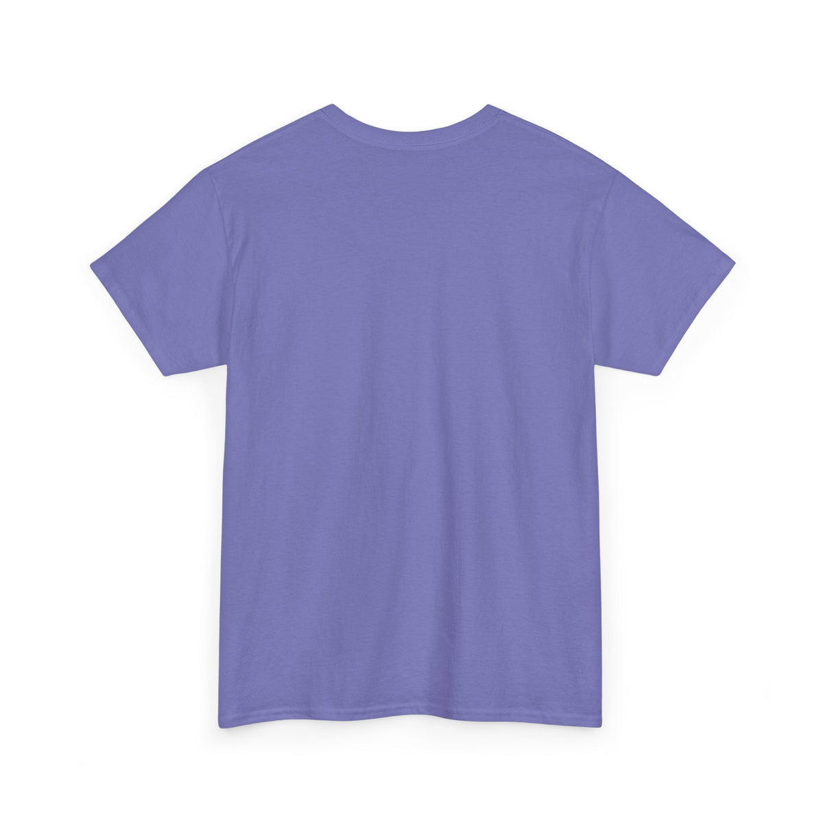 Classy Sassy Truck Driver T-Shirt — Feminine Trucker Tee
