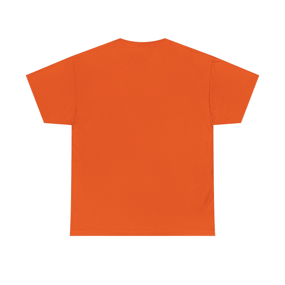 I Smoke A Lot Grill T-Shirt — BBQ Smoker Enthusiast Tee