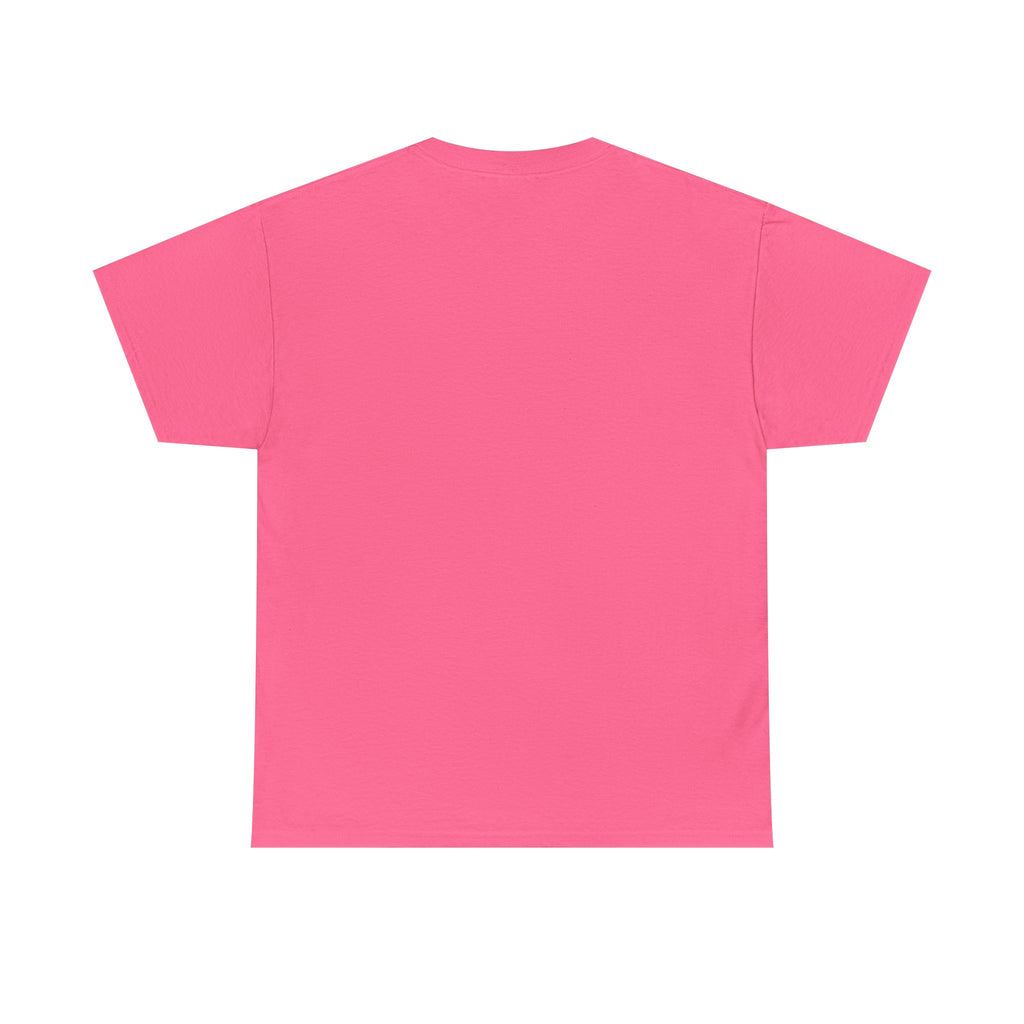 Classy Sassy Truck Driver T-Shirt — Feminine Trucker Tee