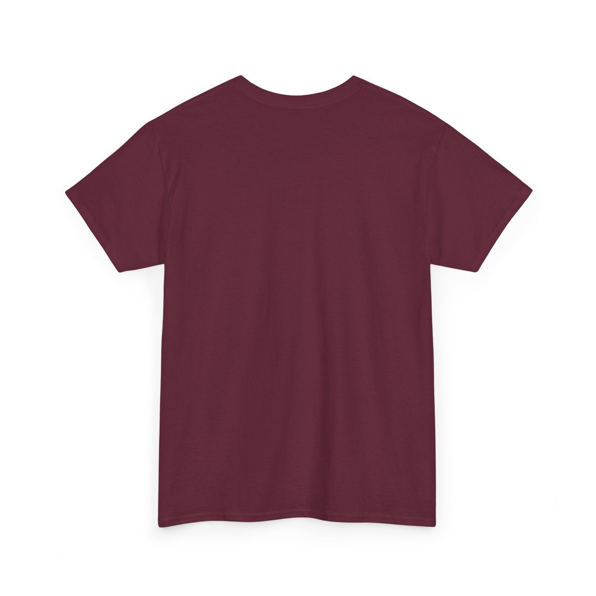 I Am the Storm T-Shirt